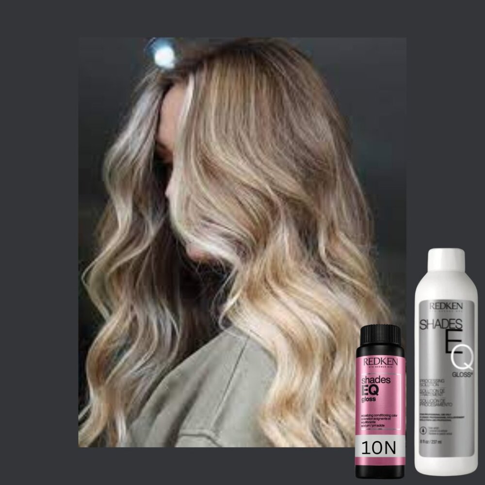 REDKEN ShadesEQ Gloss Color Hair Toner 10N Natural & Processing Solution